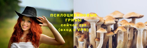 стаф Киреевск