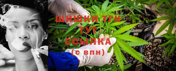 стаф Киреевск