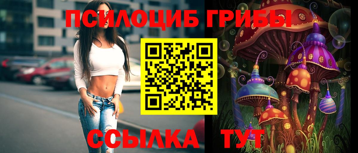 Галлюциногенные грибы GOLDEN TEACHER  Вход с VPN  Псилоцибиновые грибы MAGIC MUSHROOMS  Юрга 